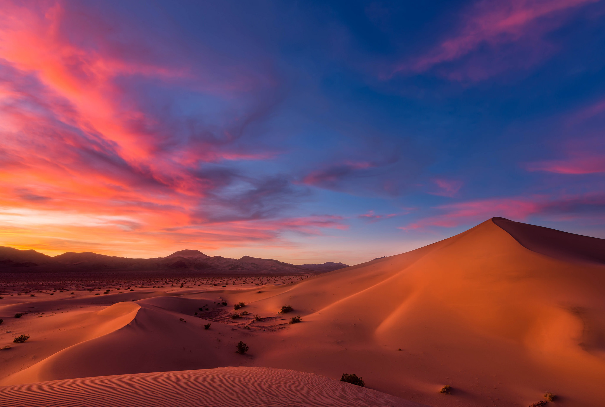 Desert Wallpaper
