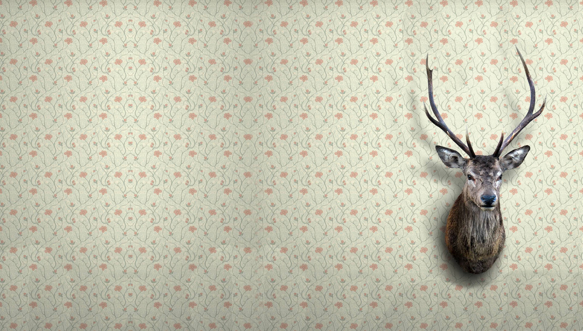 Deer Full Wallpaper