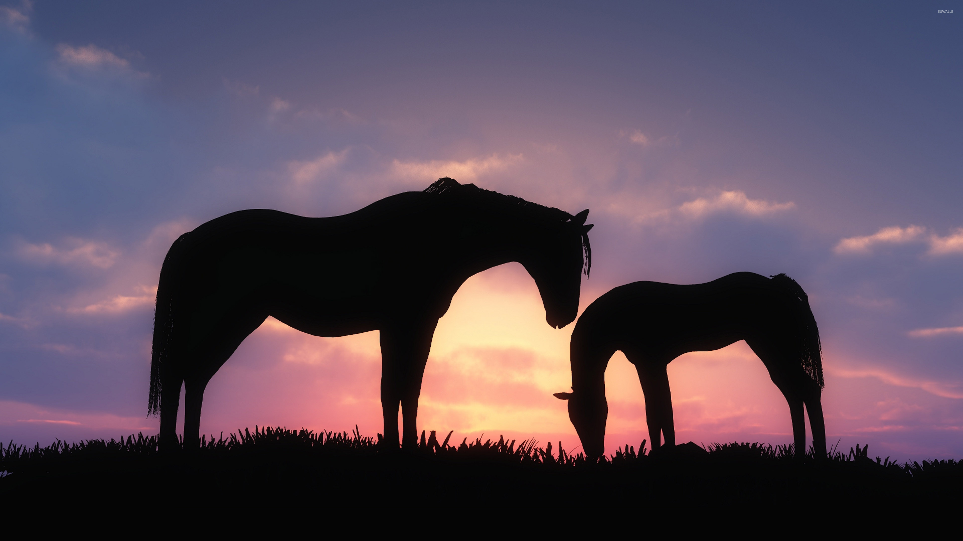 Horses In The Grass Sunset Wallpaper Animal