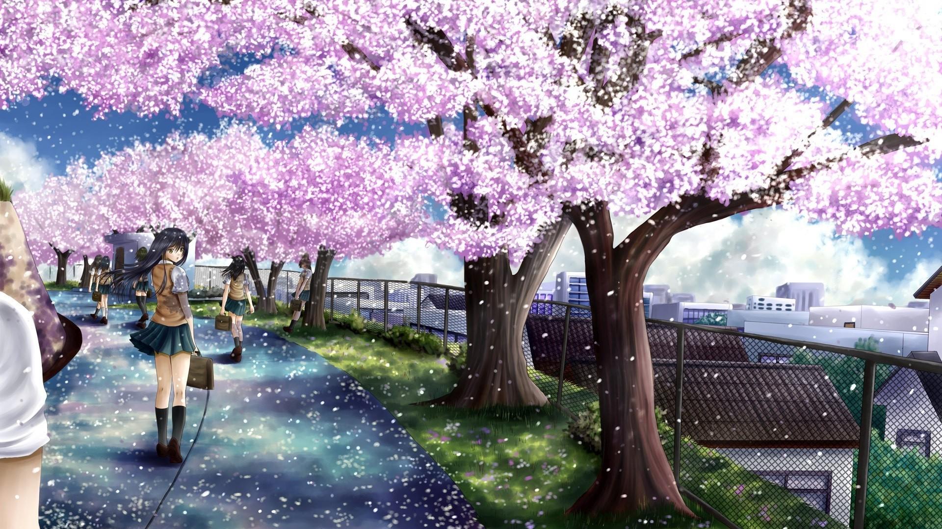 Uploads Cherry Blossom Anime HD