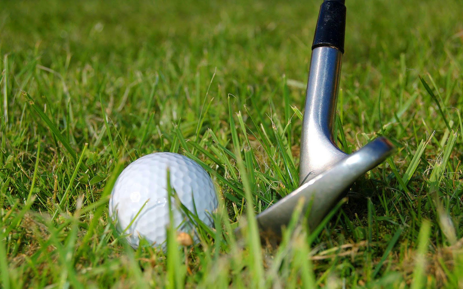 Golfball And Club In Green Grass