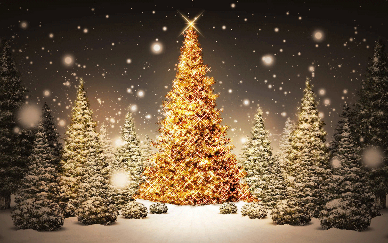 Best Desktop HD Wallpaper   Christmas lights wallpapers 1600x1000