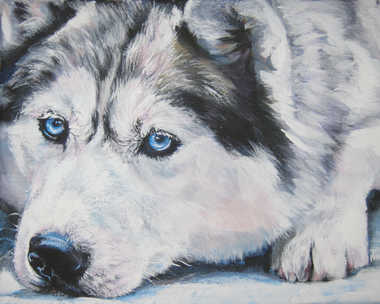 Drawn Siberian Husky Dog Photo And Wallpaper Beautiful