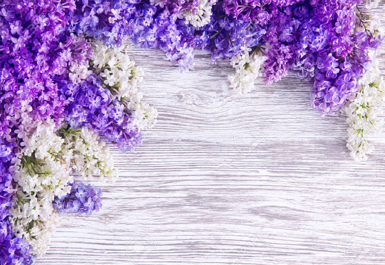 Lilac Flower Background Blooms Pink Flowers On Wood Plank Stock