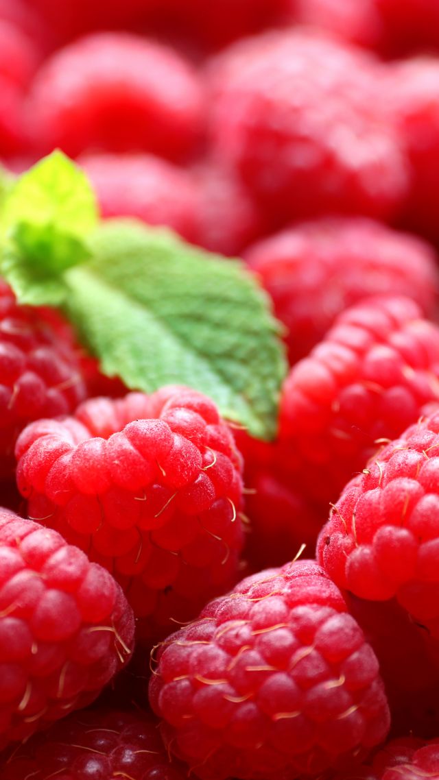 Wallpaper Raspberries Delicious 5k Food