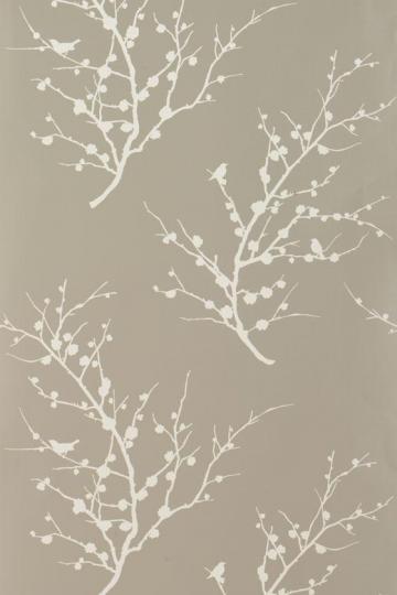 Edie Tempaper Wallpaper Collection Wall Paper Decor