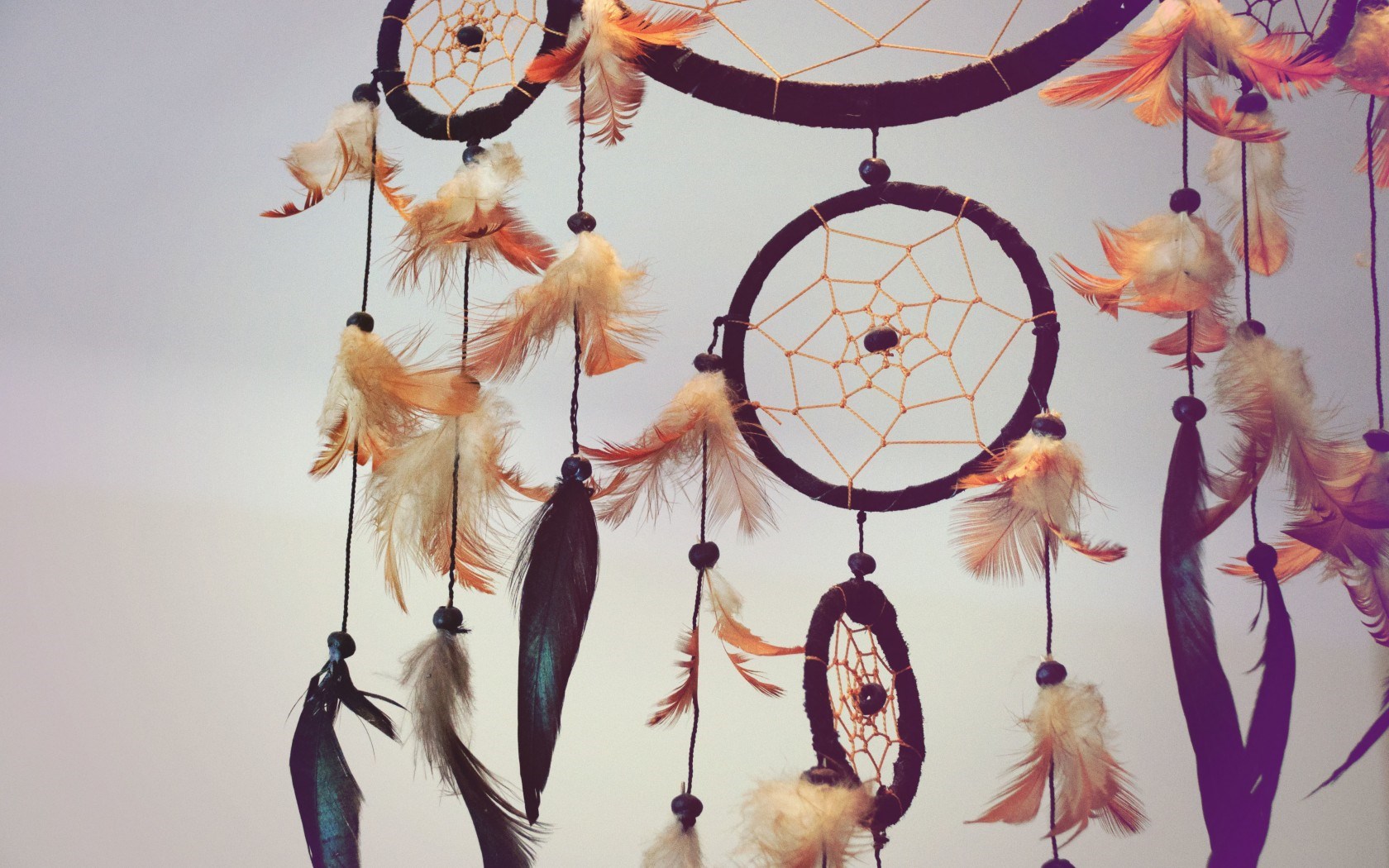 Dream Catcher Wallpaper