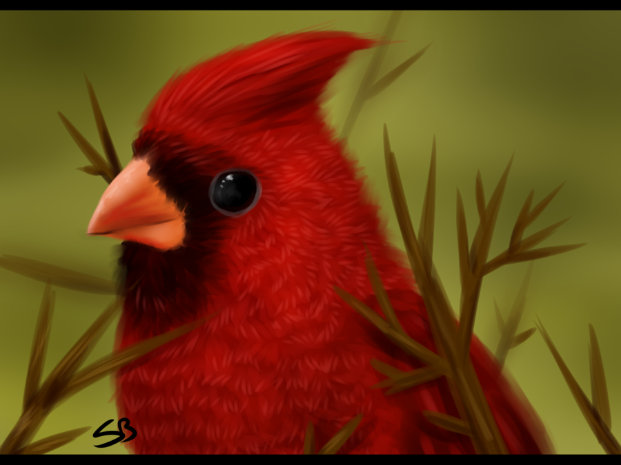 Red Bird By Forever Wolfy