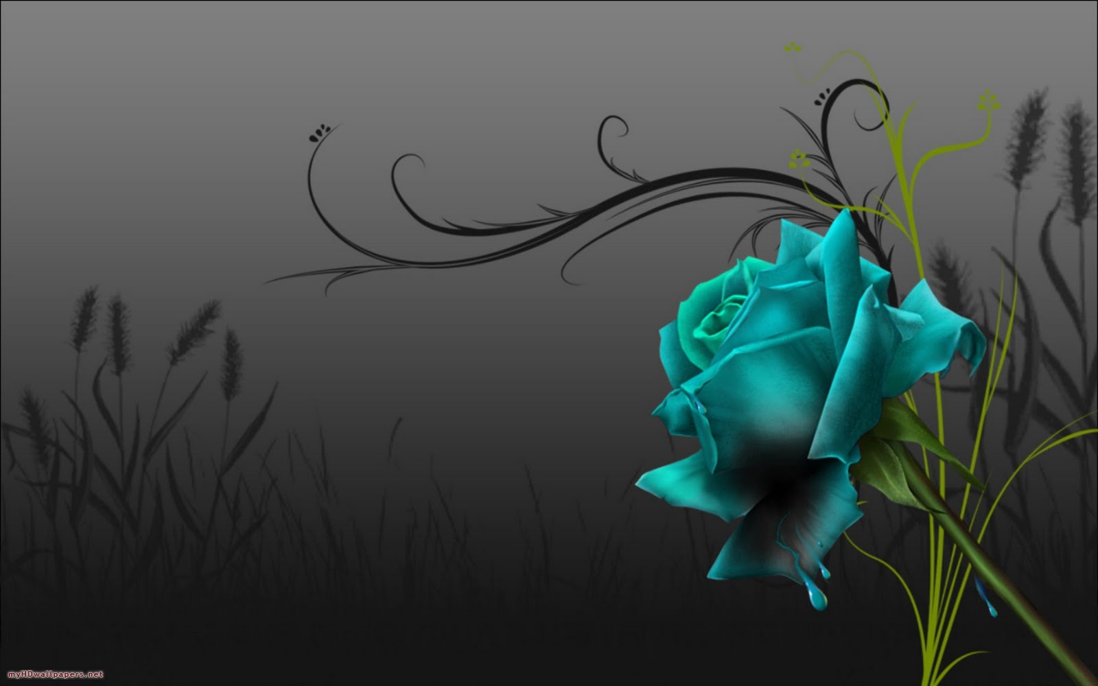 Free download HD Wallpaper of Blue Rose HD Wallpapers [1024x899] for