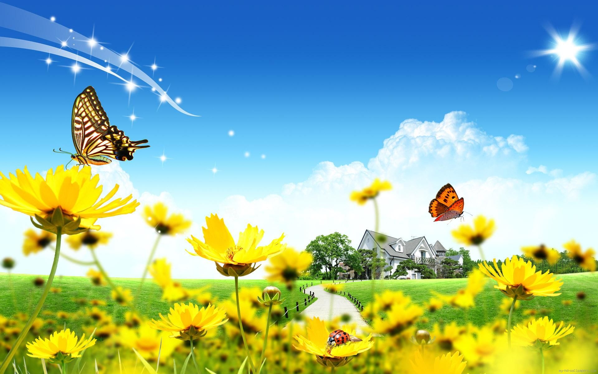 Sunflowers And Butterflies Wallpaper On