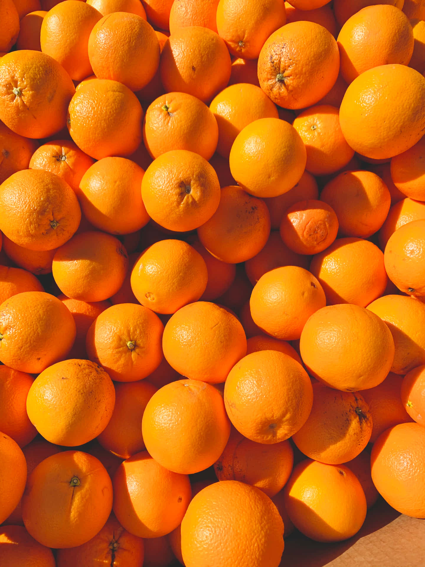 Orange iPhone Wallpaper