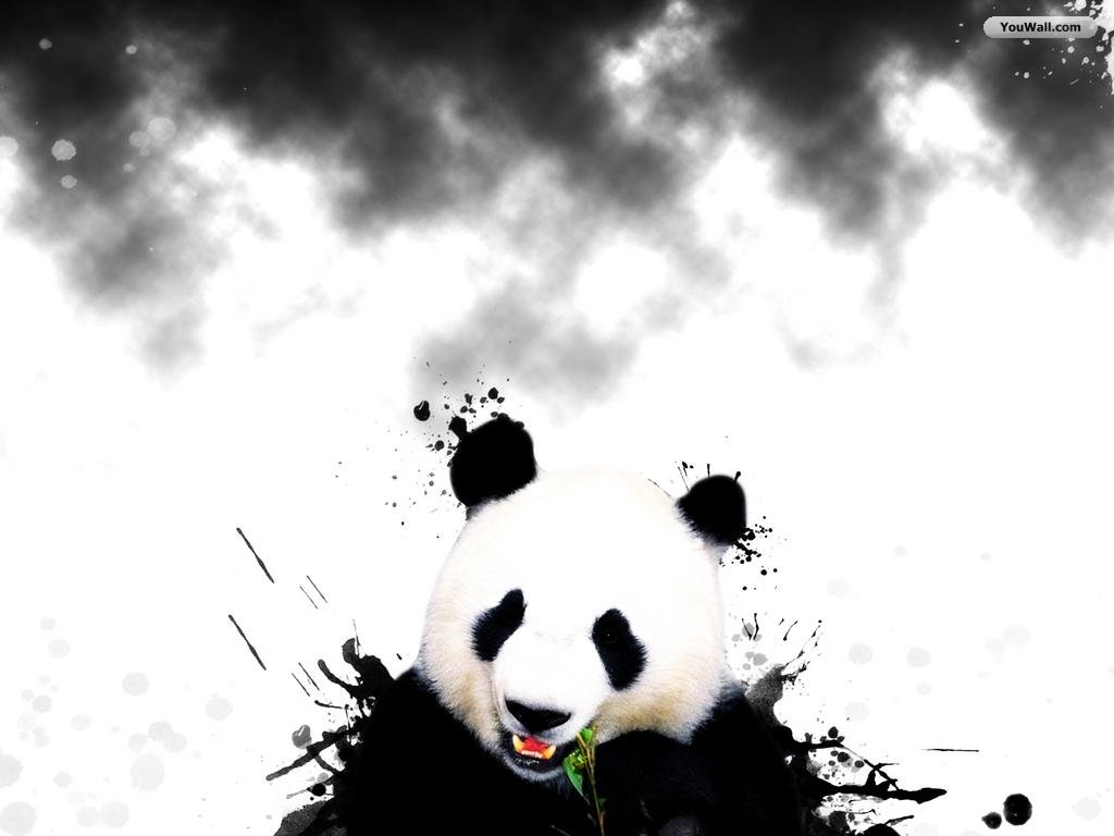 Youwall Panda Wallpaper Photo