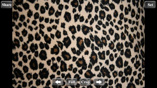 Leopard Print Wallpaper HD Animal
