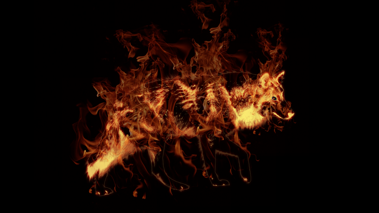 Fire Wallpaper Wolf HD By