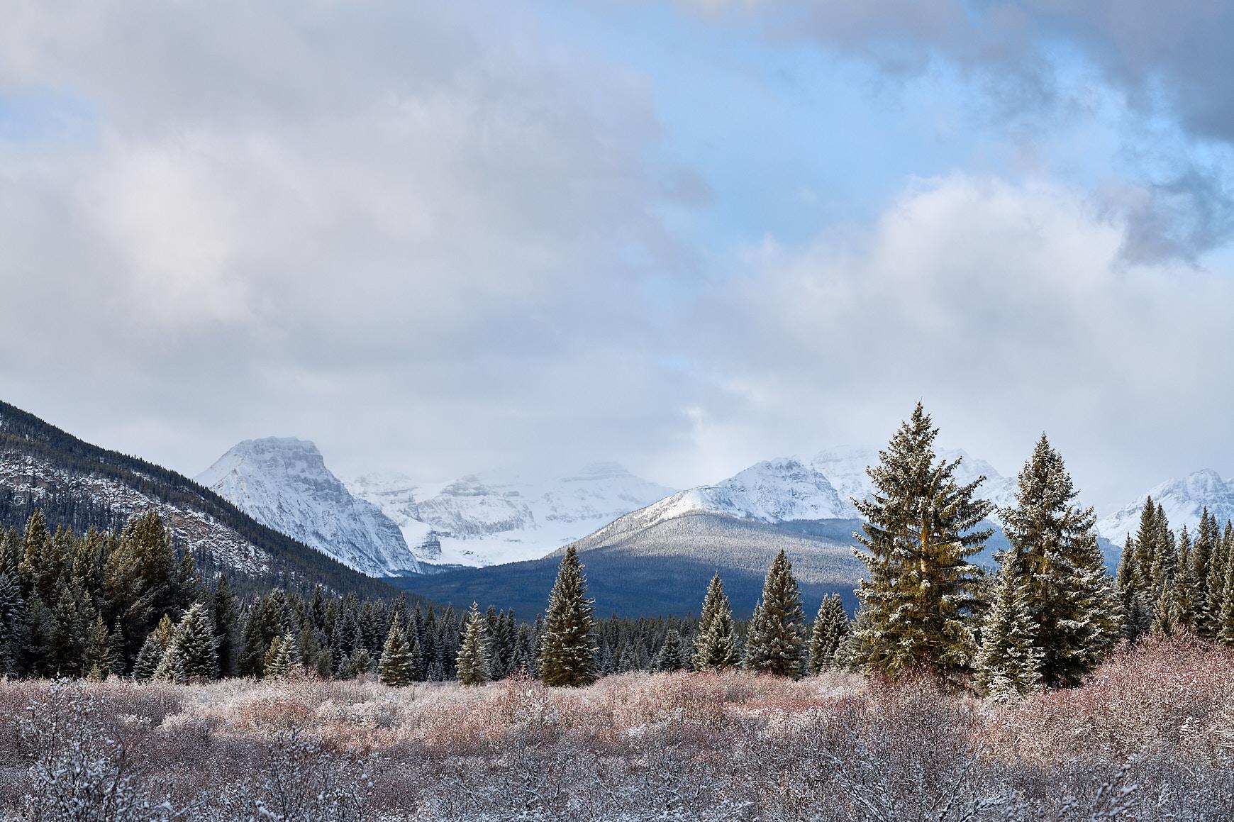 Immaculate The Canadian Rockies In Winter With Snow Nio Photography