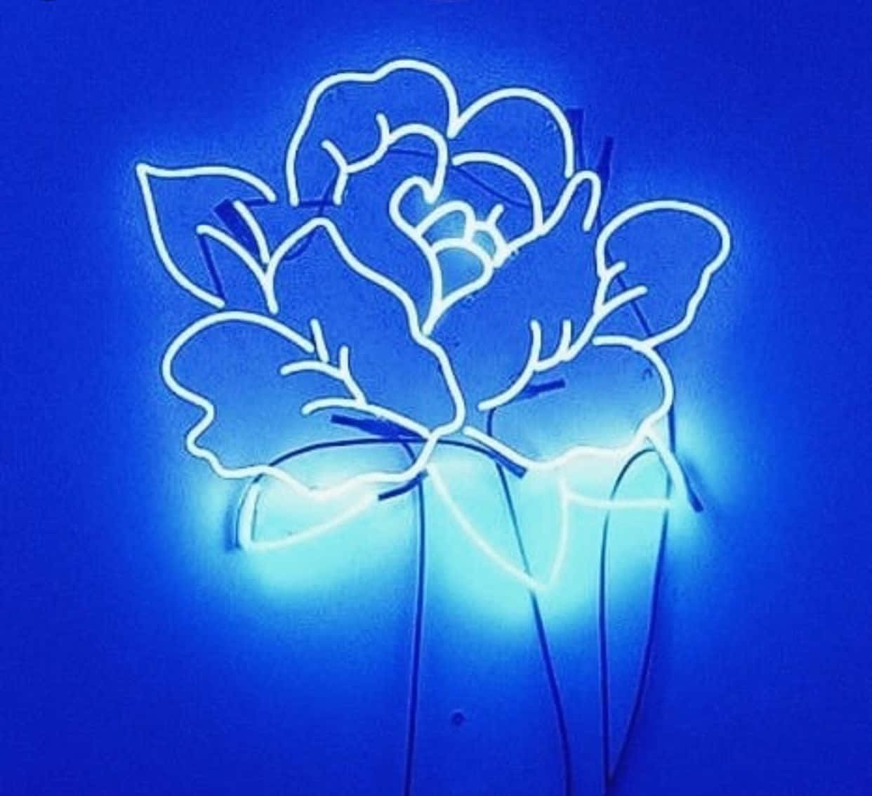 Exploring The Surreal Beauty Of Neon Blue Aesthetics Wallpaper