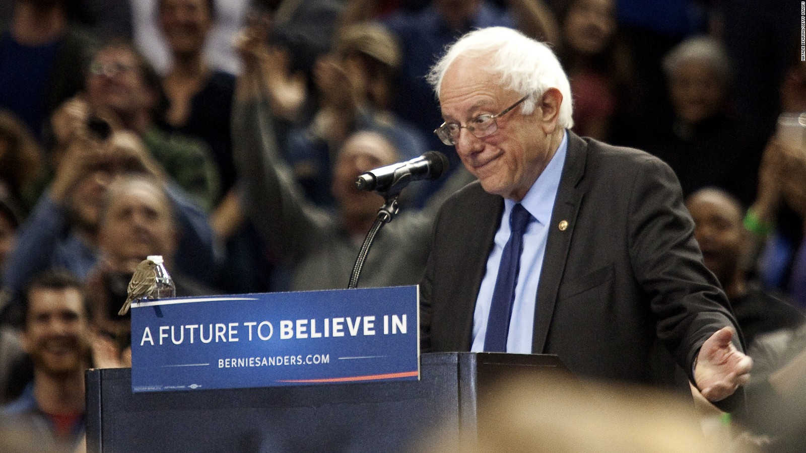 Bernie Sanders Wins Washington Wallpaper