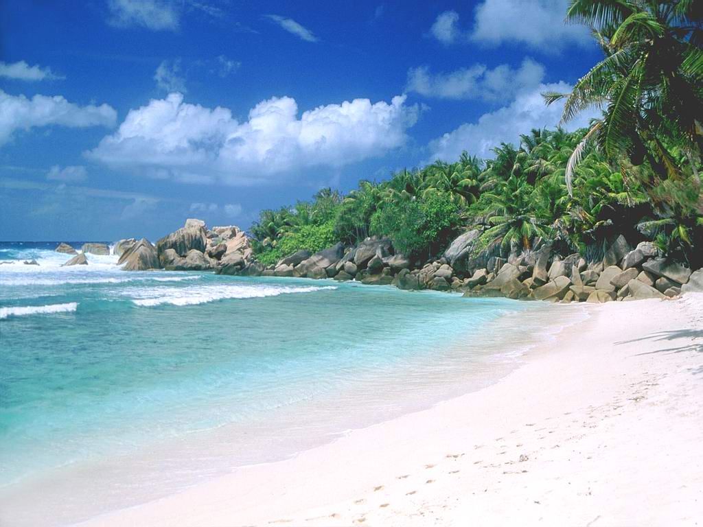 Tropical Paradise Goa Indianeagle