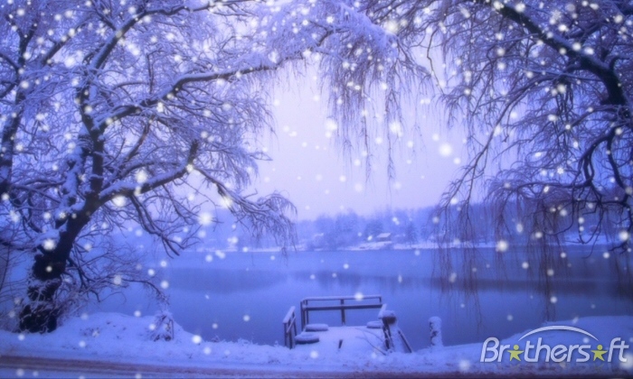 Beautiful Snow Scenery Wallpaper