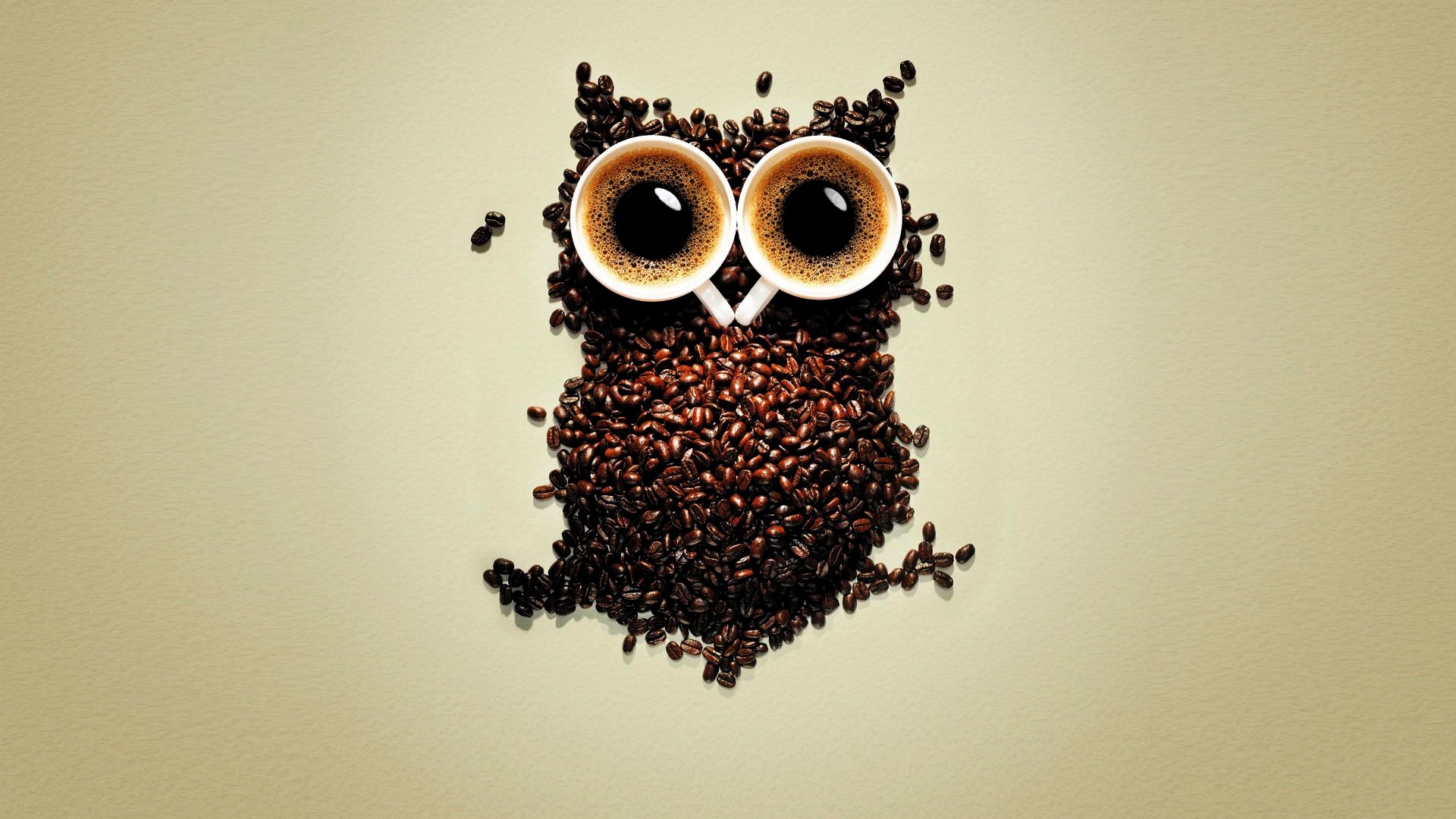 File Name Funny Coffee Owl Wallpaper