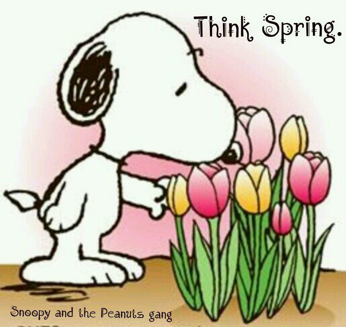 Snoopy Spring 4k Wallpaper