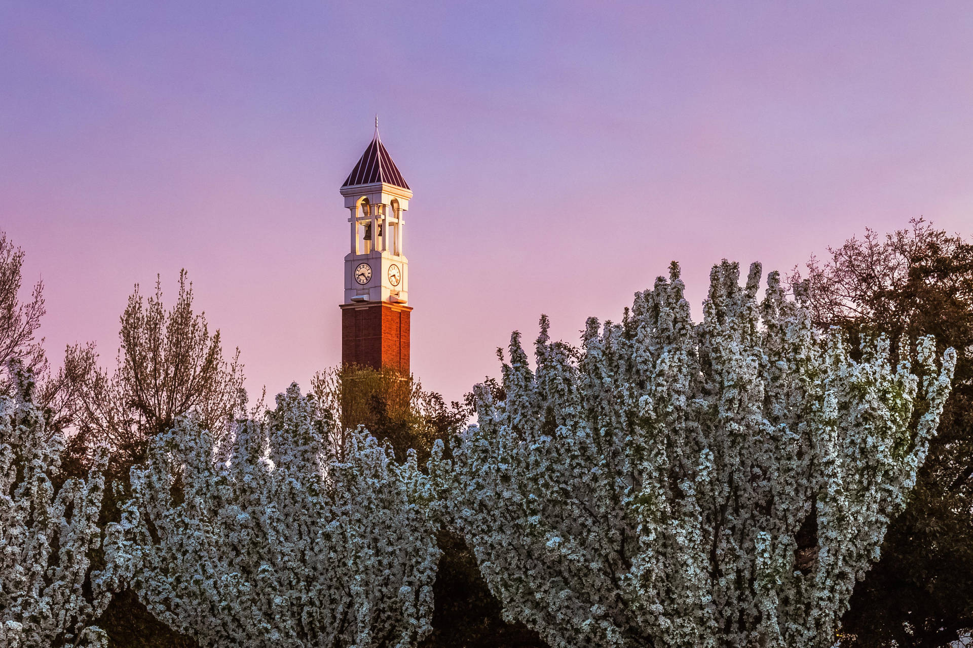 Purdue University Background Wallpaper