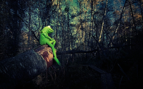 Philosophy Kermit The Frog Frogs Wallpaper Desktop