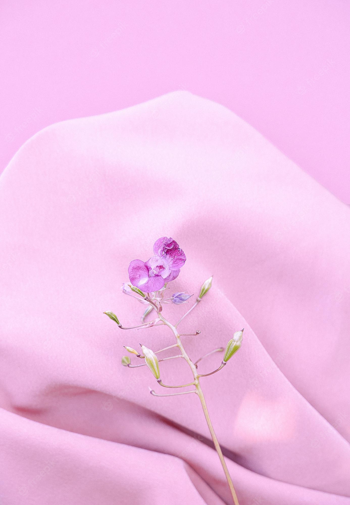 Premium Photo Purple flower on pink silk fabric background