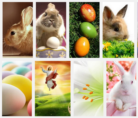 Best Apps For Easter Wallpaper Bunny Happy iPhone
