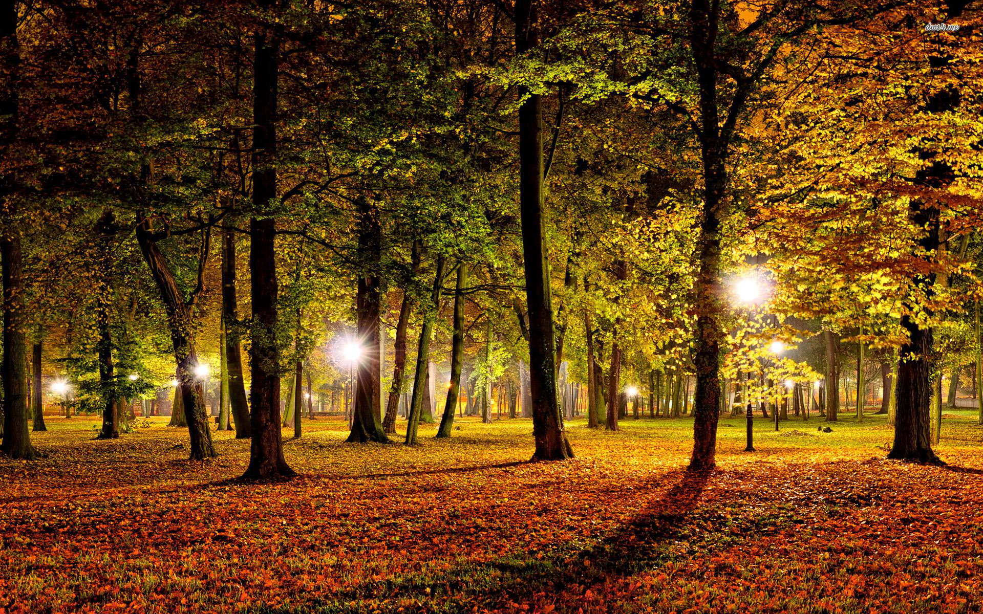 Street Lamps In The Autumn Park Wallpaper