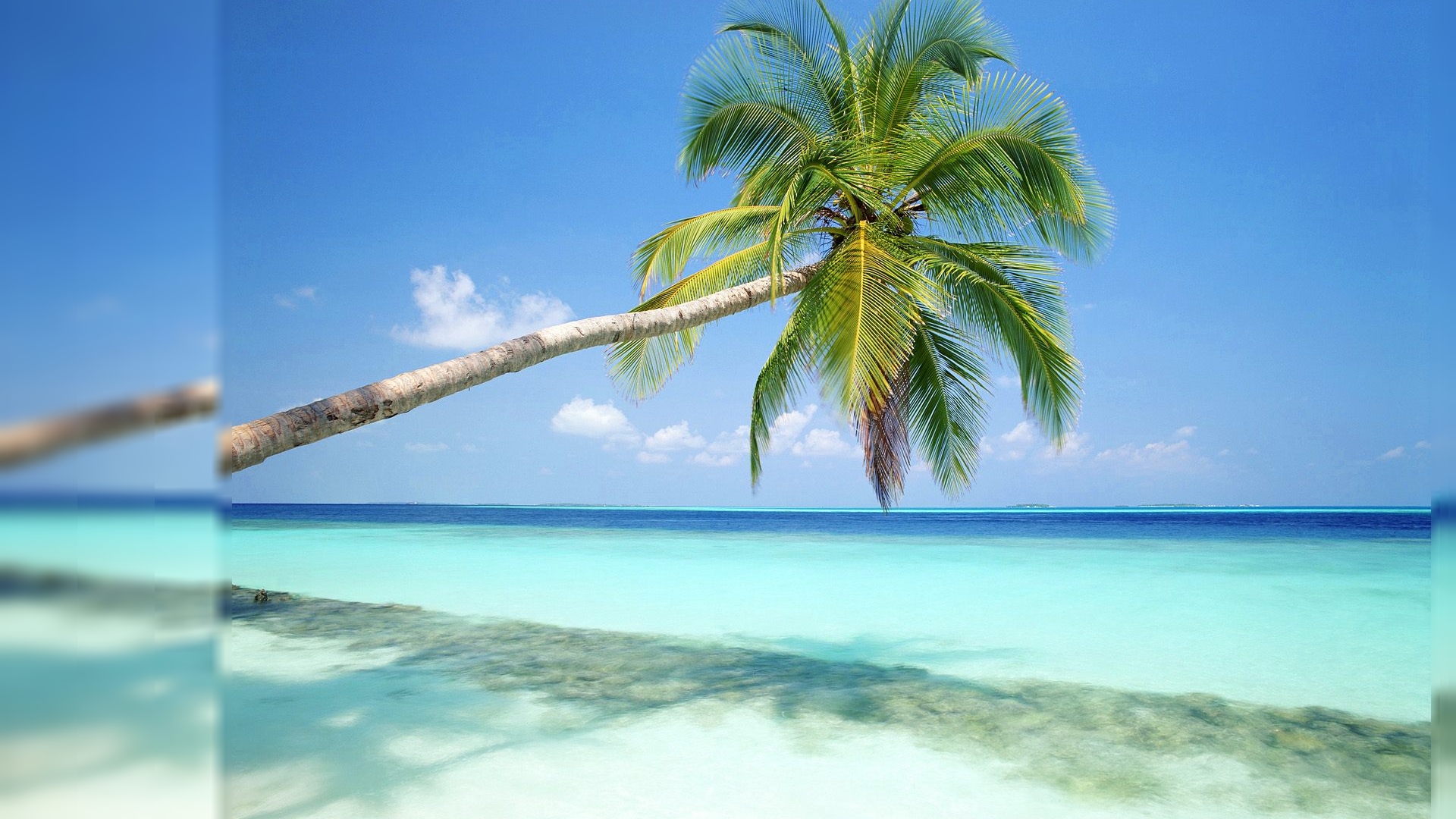 Free Download Summer Beach Scenes Desktop Wallpaper 1920x1200 For