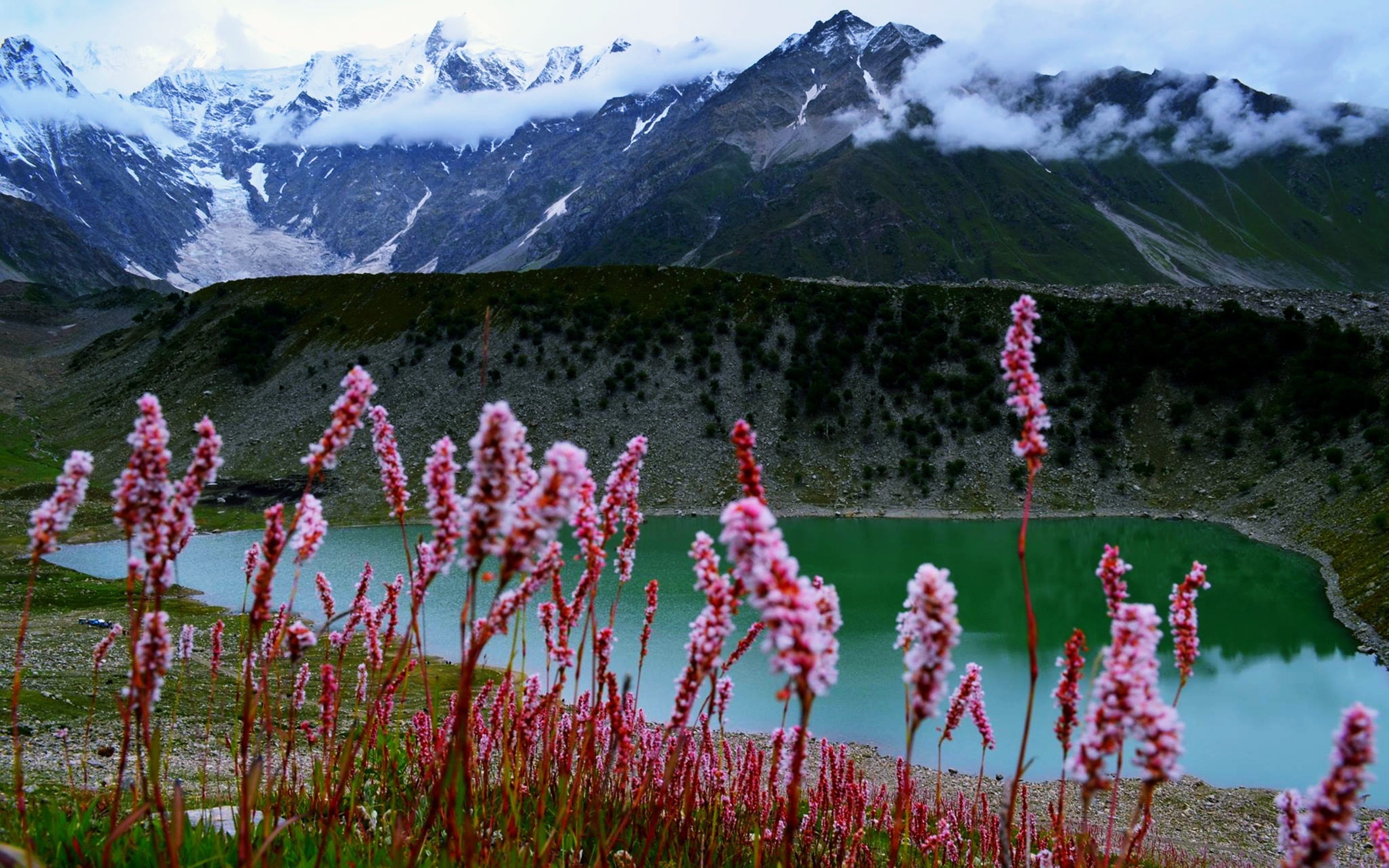Pakistan Lake Flower Nature Hill Mountain Earth Landscape