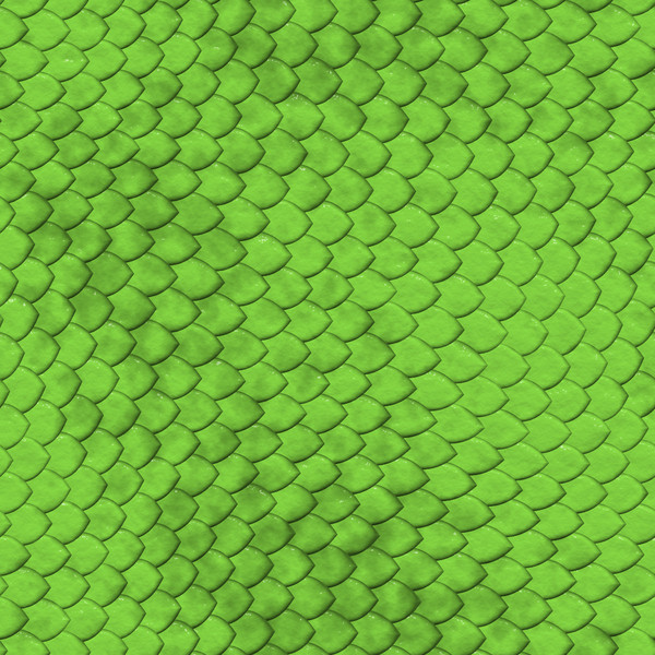 Reptile Scales Texture Jpg Green