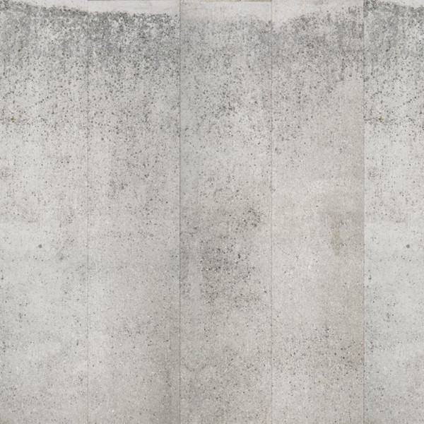 Nlxl Piet Boon Concrete Wallpaper Con Modern By