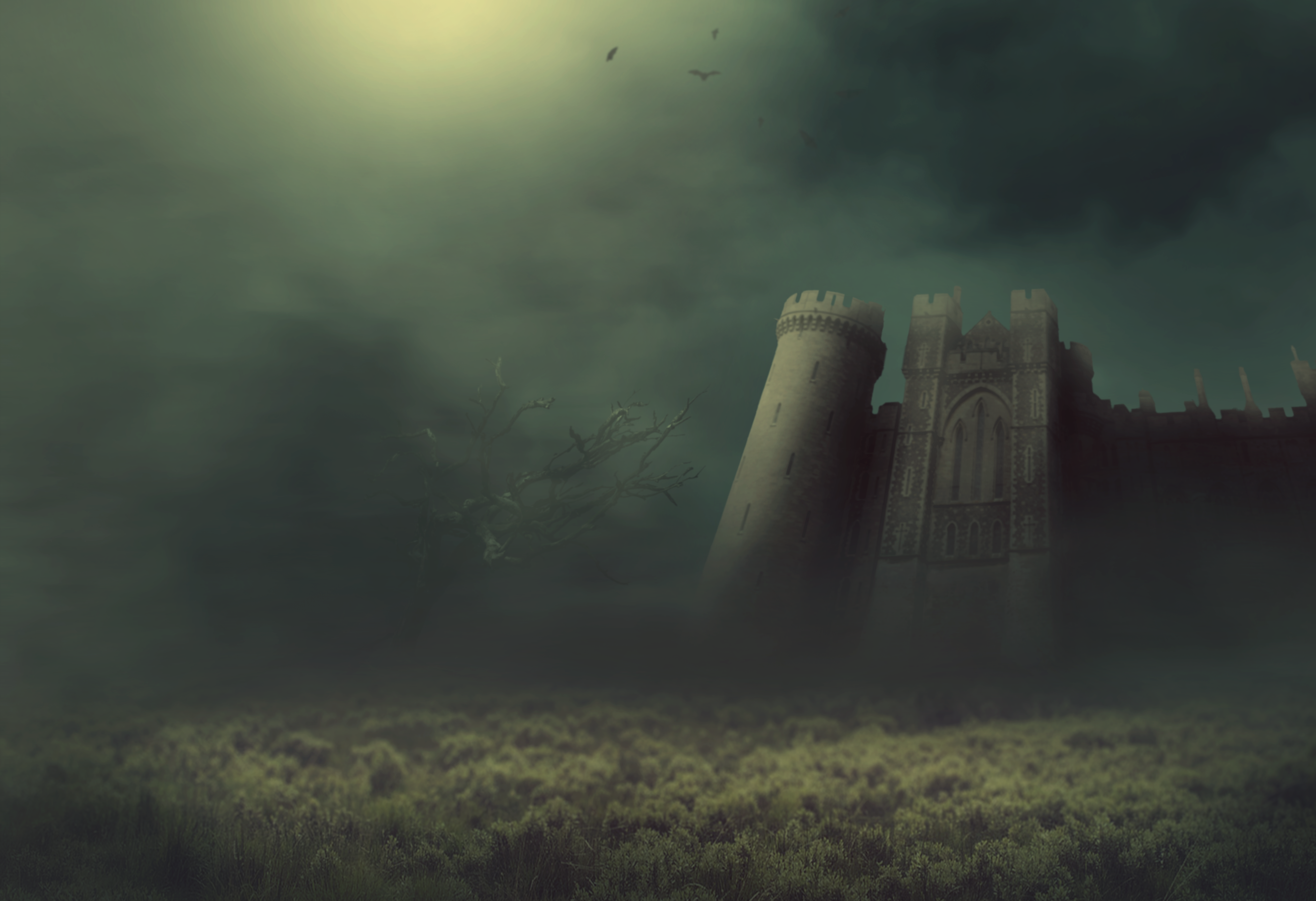 Image Fantasy Meadow Tree Bats Knight Castle Surreal