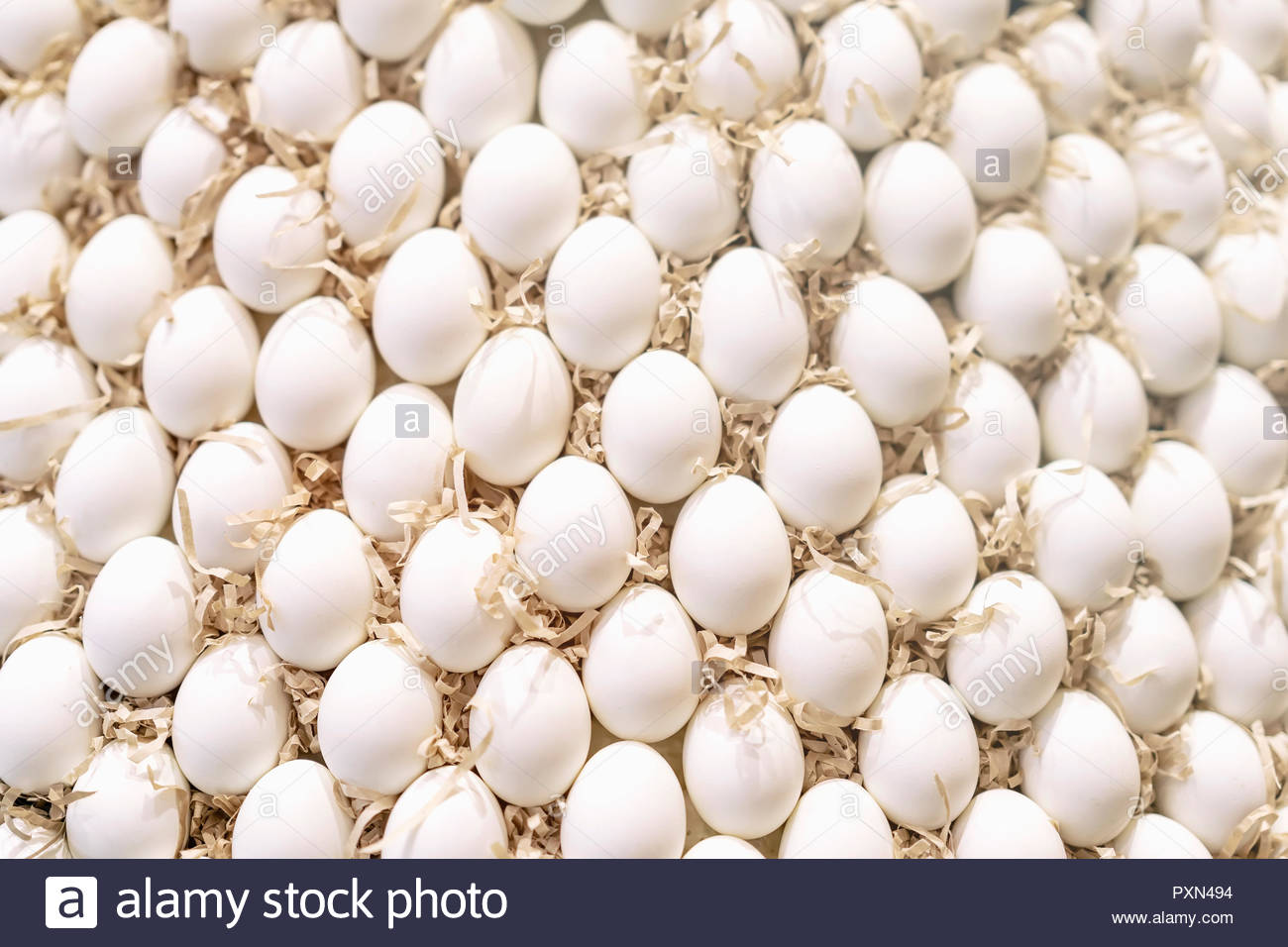 Many White Chicken Eggs Natural Background And Texture Selective