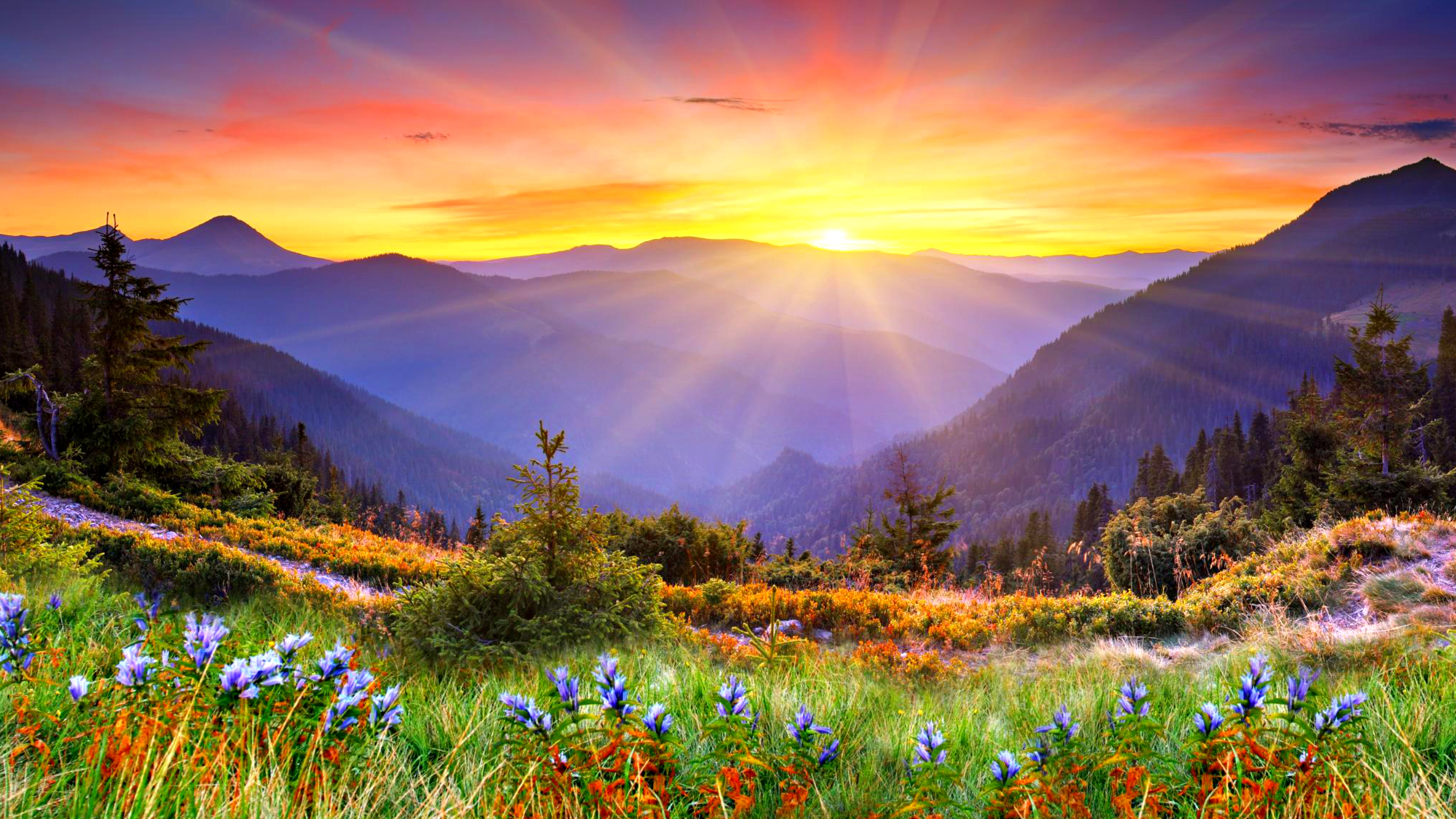 Im Beautiful Sunny Day Wallpaper Px Picserio