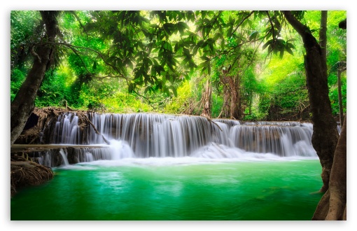 Green Tropical Waterfall HD Wallpaper For Standard Fullscreen
