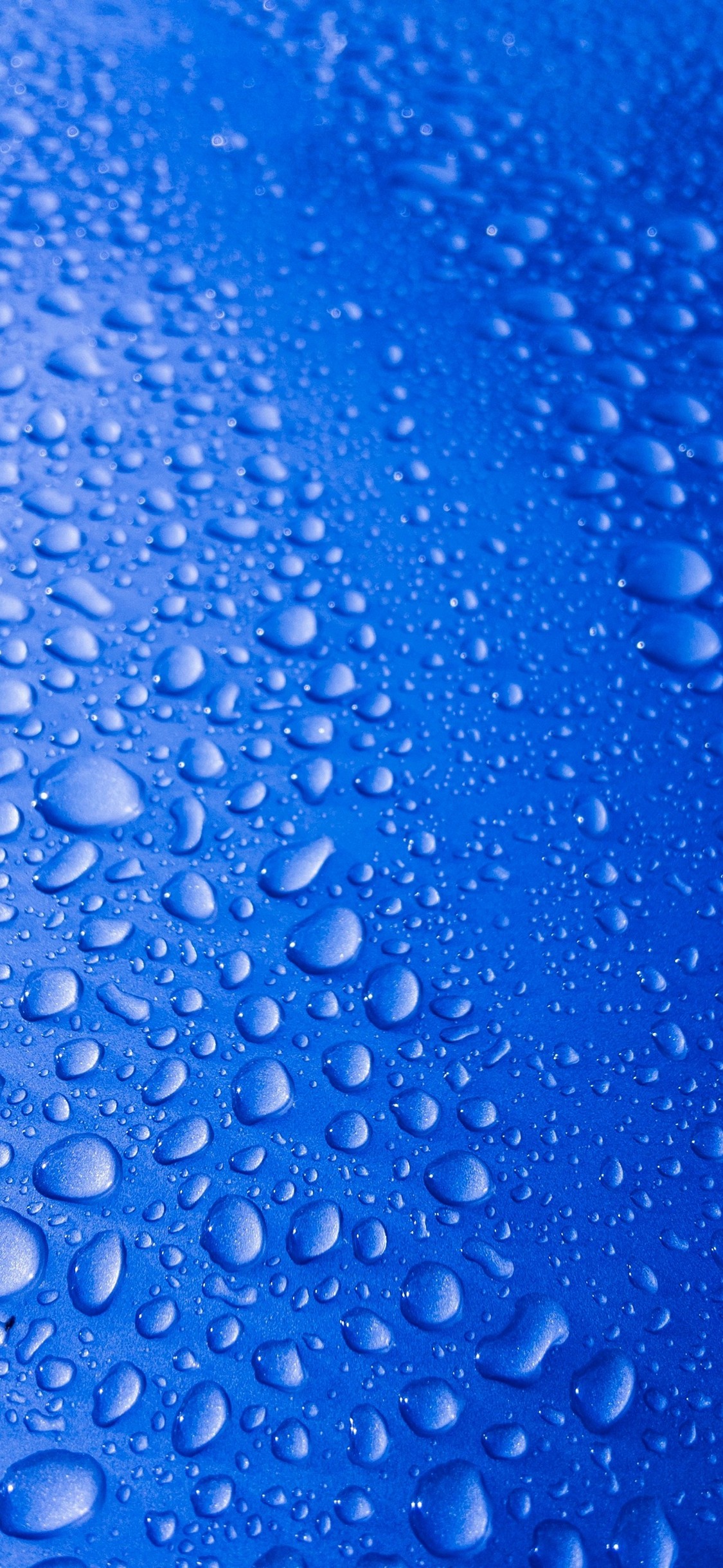 Close-up of water droplets on a vibrant blue surface, showcasing the hydrophobic properties of the material