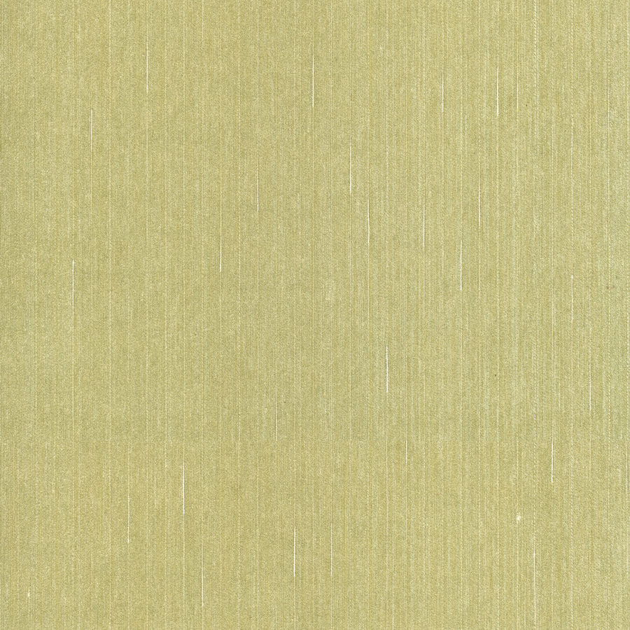 Shop Allen Roth Green Grasscloth Unpasted Textured Wallpaper At