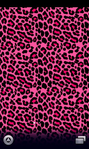 Leopard Print Hot Pink Psp Wallpaper Car Pictures