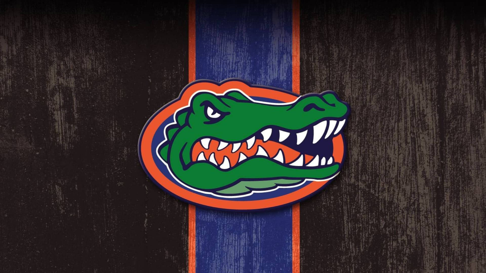 Florida Gators Picture Wallpaper