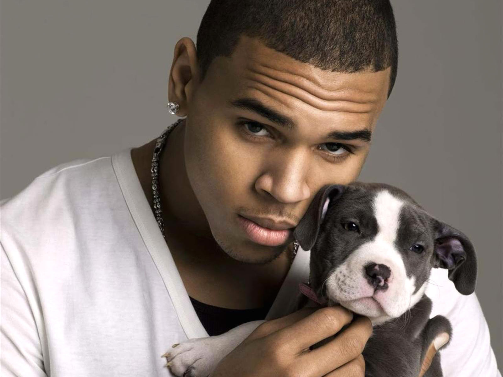 Chris Brown With Cute Puppy Desktop Wallpaper