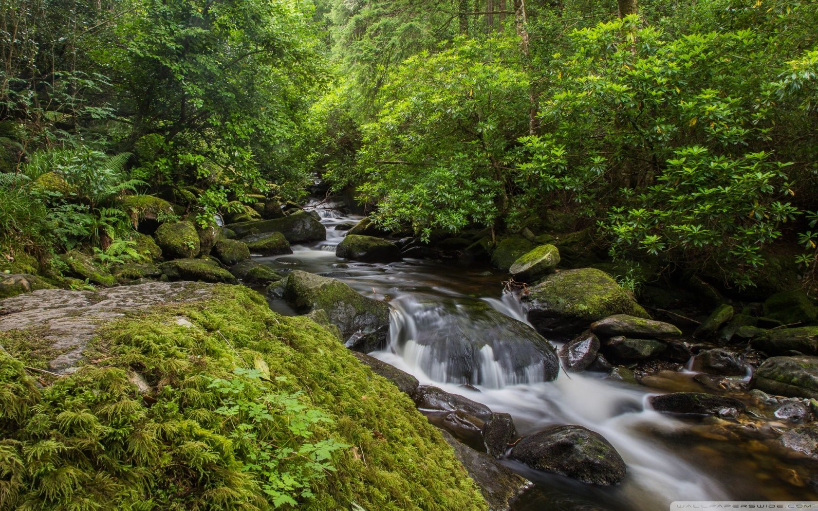 Killarney Ireland Wallpaper Top