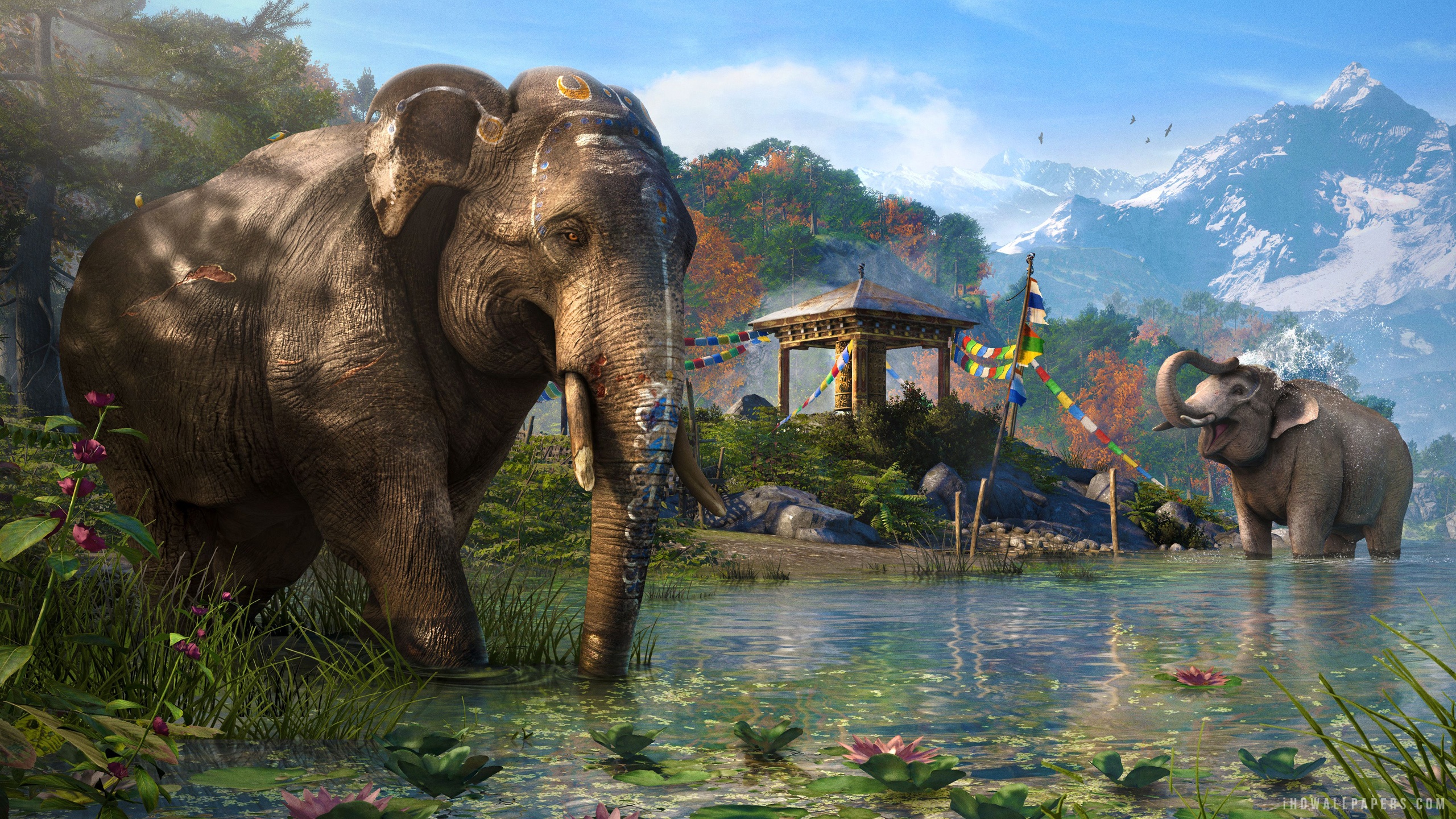 Far Cry Elephant Vista Wallpaper