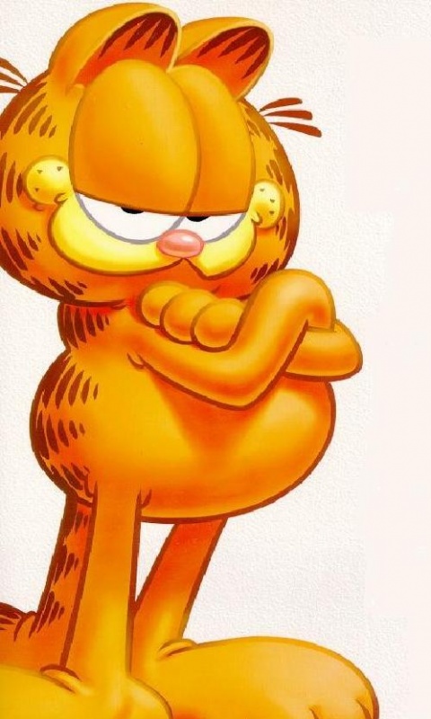 Garfield Screensaver Wallpaper