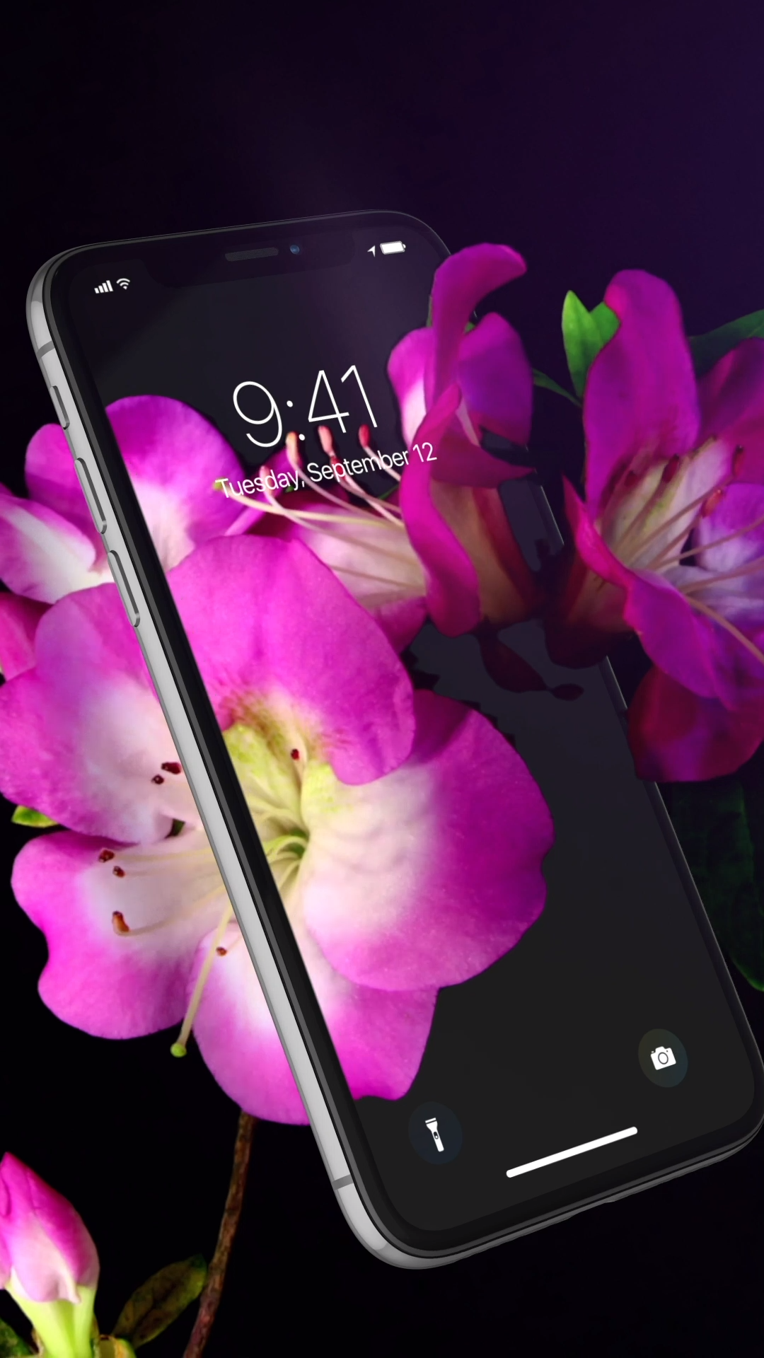 Awesome Live Wallpaper For Your iPhone Get Beautiful