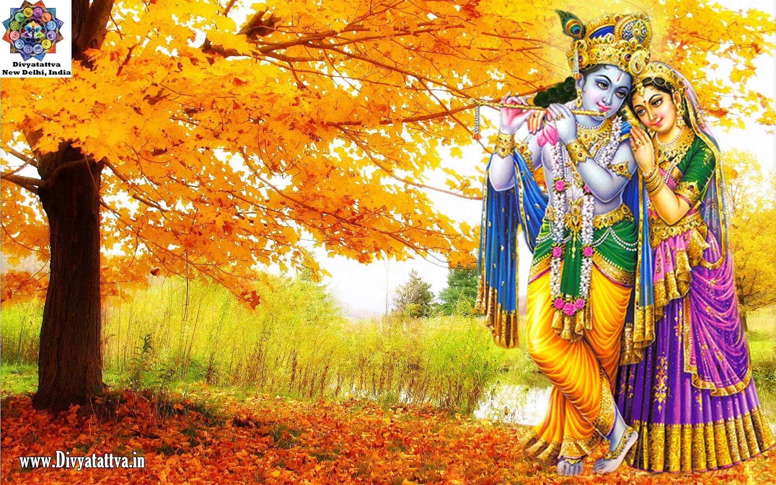 Srimati Radha Krishna HD Wallpaper Image Graphics Photos