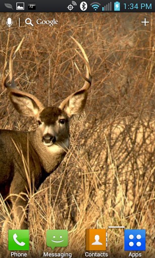 Bigger Deer Hunters Live Wallpaper For Android Screenshot