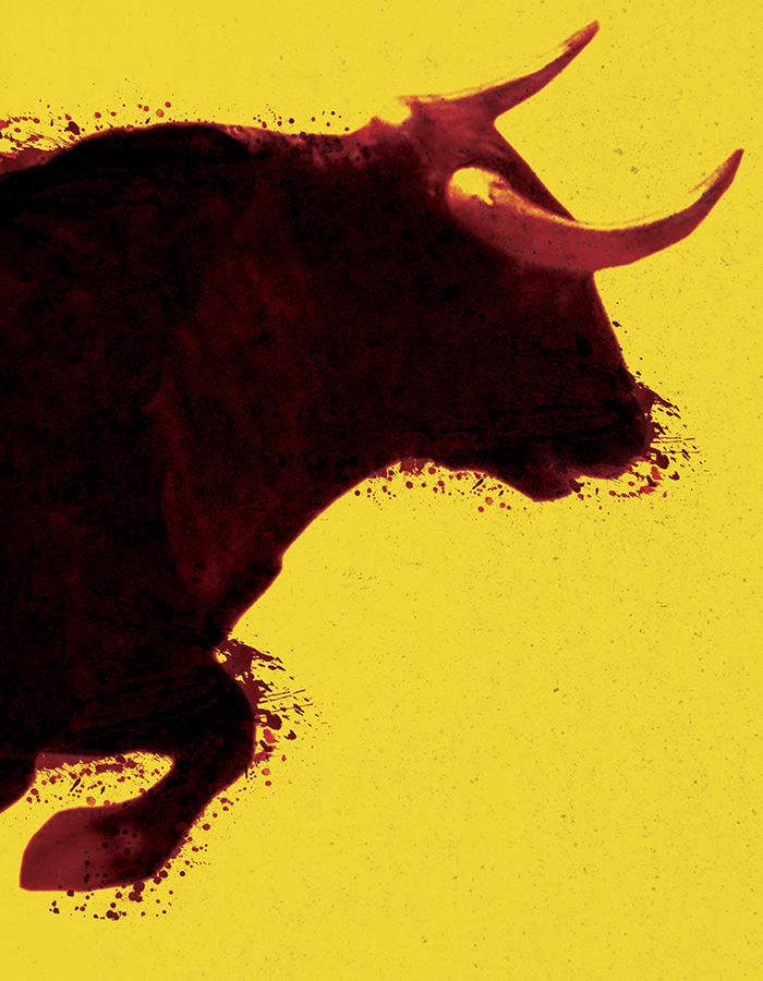 Bull Young Vic Website